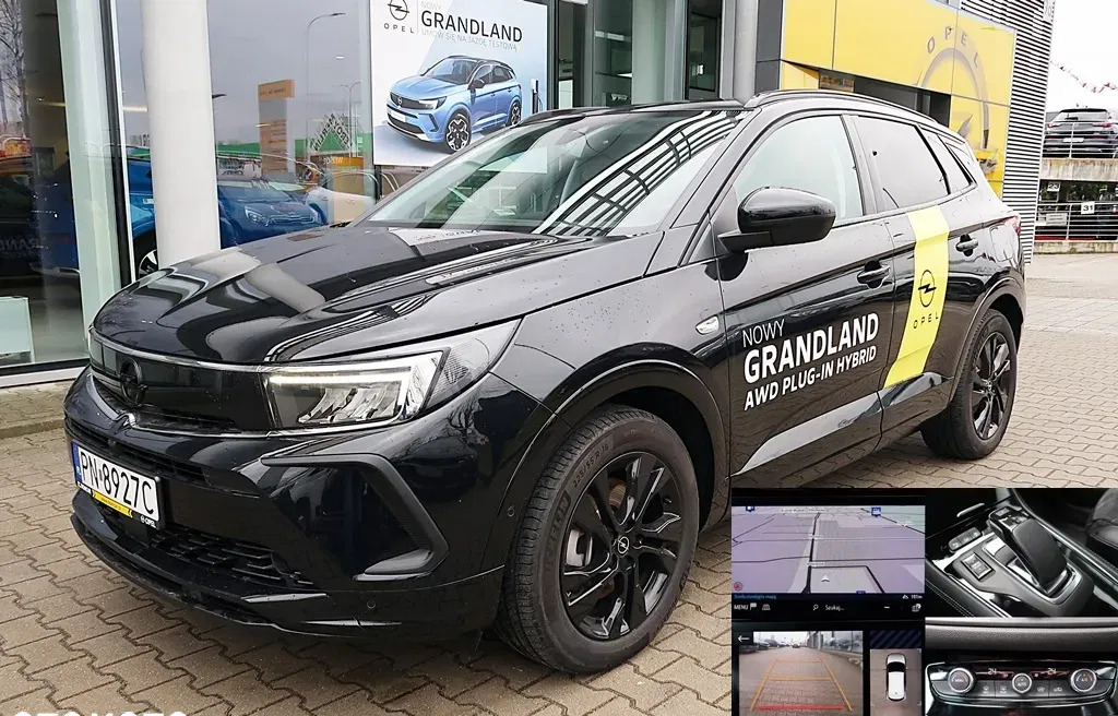 Opel Grandland X cena 179900 przebieg: 2000, rok produkcji 2022 z Pszczyna małe 92